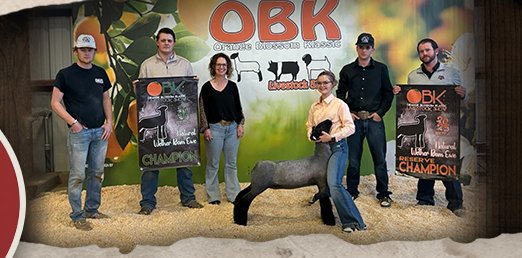 Boyd Farms Club Lambs