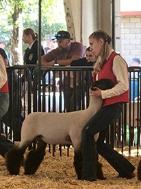 2nd in Class
El Dorado County Fair